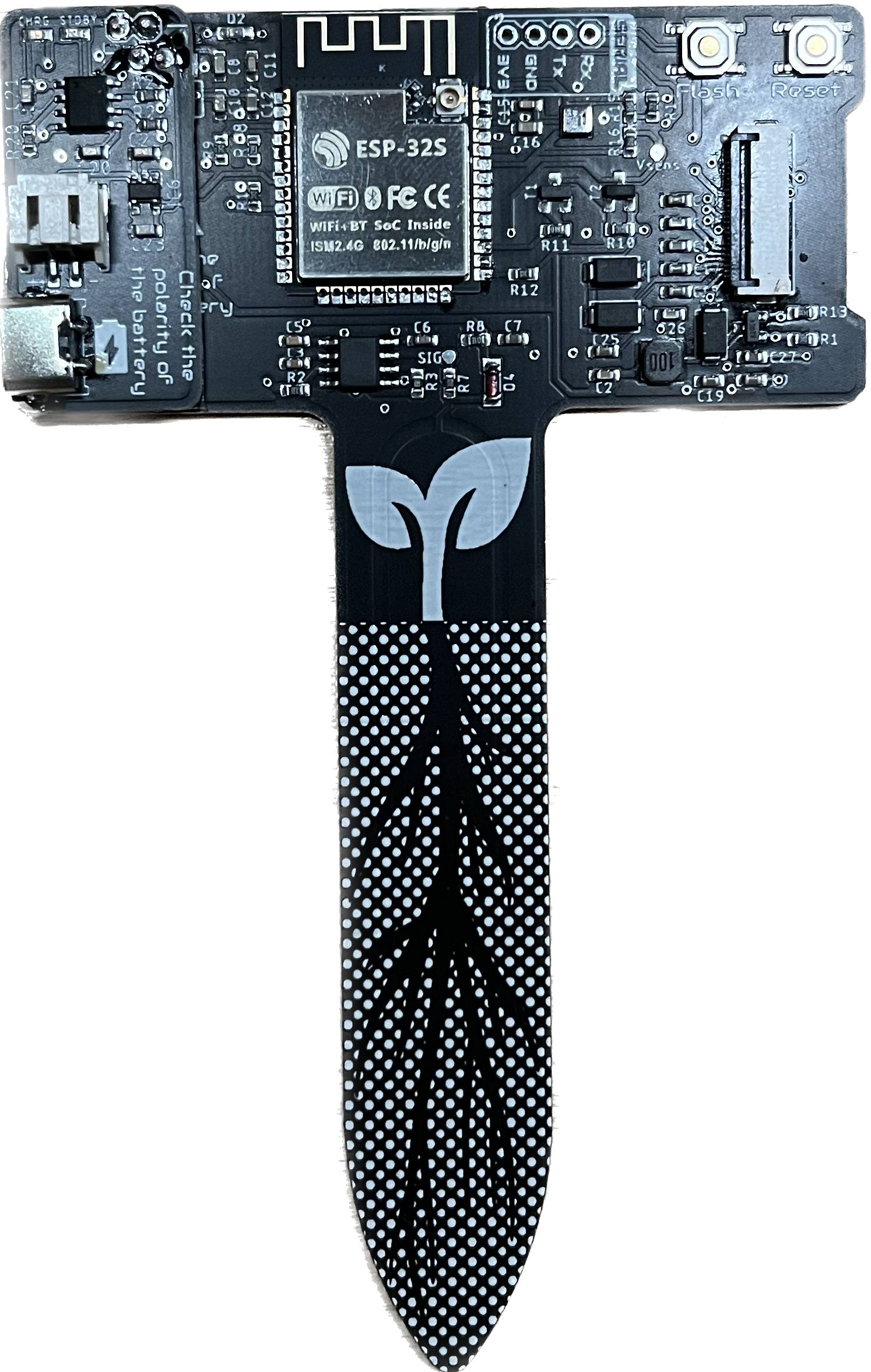 _images/SP_Top.png
